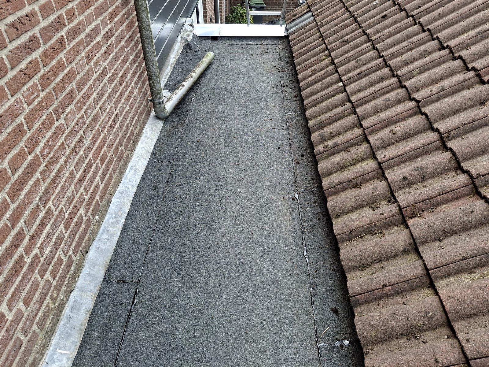 WhatsApp Image 2025-12-20 at 14.12.35 (2)